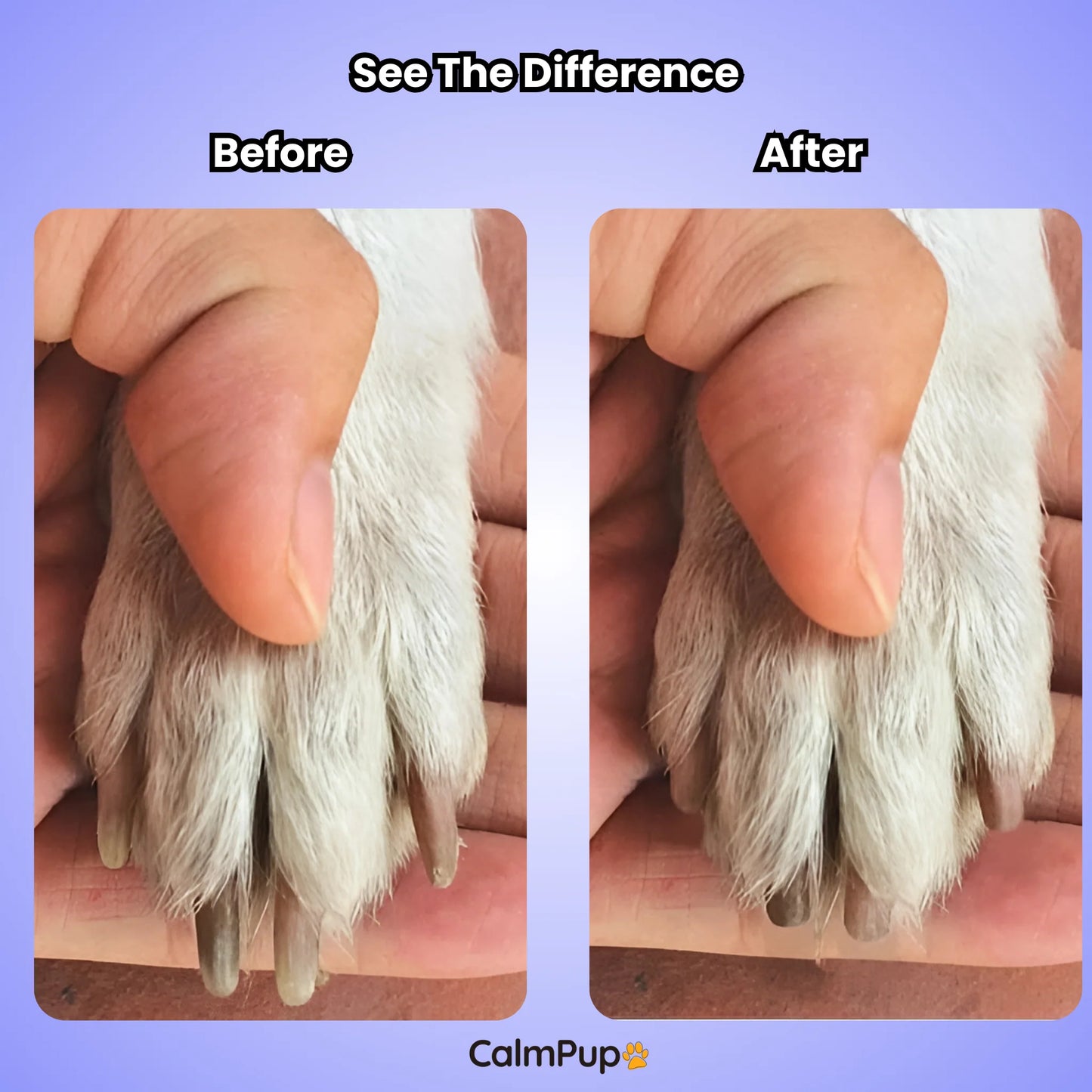 The Whispaw Silent Nail Trimmer